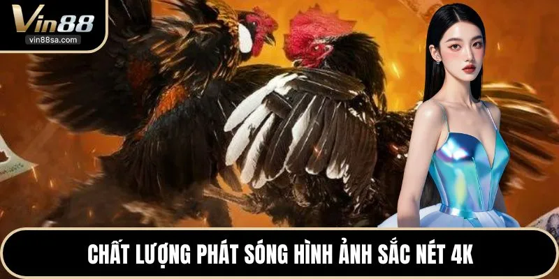 Chất lượng phát sóng hình ảnh sắc nét 4K