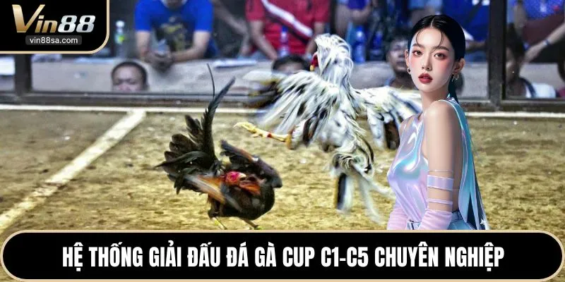 Hệ thống giải đấu đá gà cup c1-c5 chuyên nghiệp