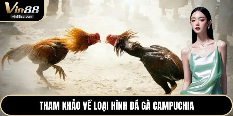 Tham khảo về loại hình đá gà campuchia